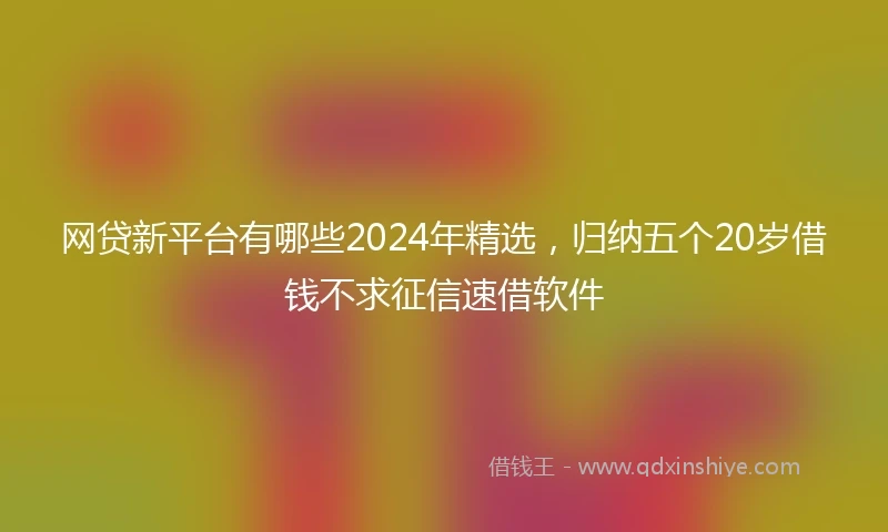 网贷新平台有哪些2024年精选，归纳五个20岁借钱不求征信速借软件