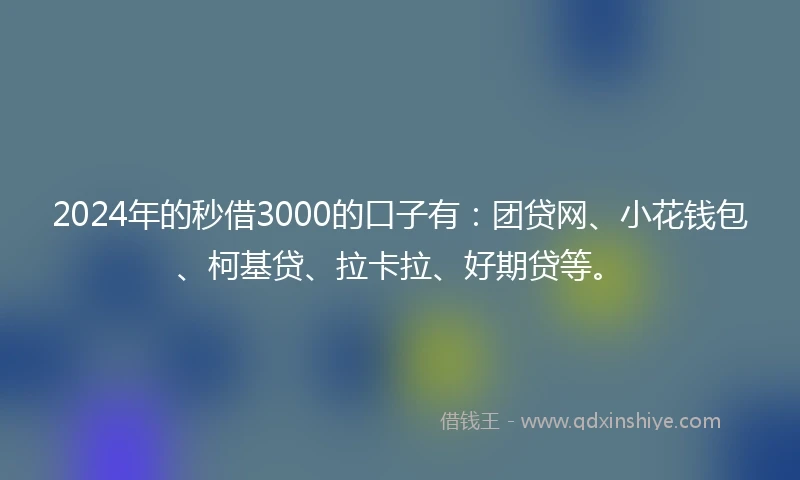 2024年的秒借3000的口子有：团贷网、小花钱包、柯基贷、拉卡拉、好期贷等。