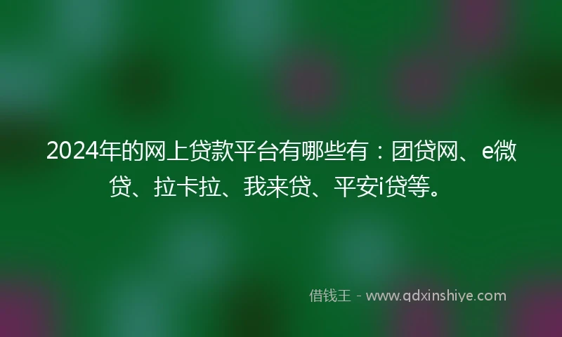 2024年的网上贷款平台有哪些有：团贷网、e微贷、拉卡拉、我来贷、平安i贷等。