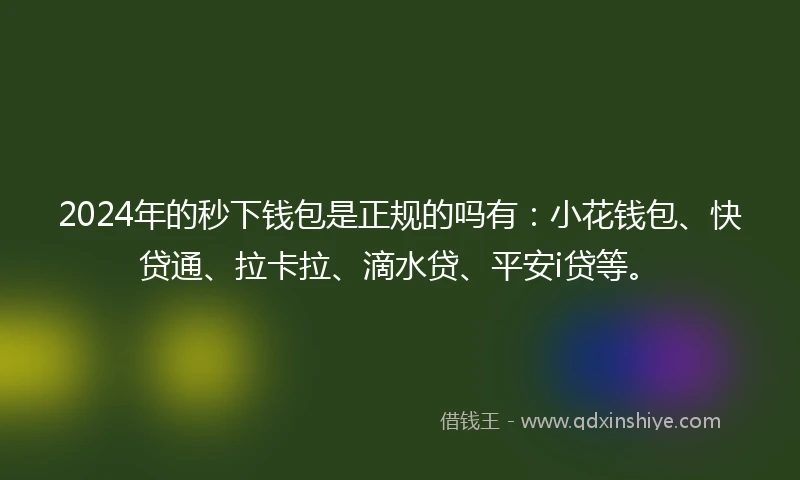 2024年的秒下钱包是正规的吗有：小花钱包、快贷通、拉卡拉、滴水贷、平安i贷等。