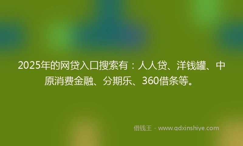 2025年的网贷入口搜索有：人人贷、洋钱罐、中原消费金融、分期乐、360借条等。