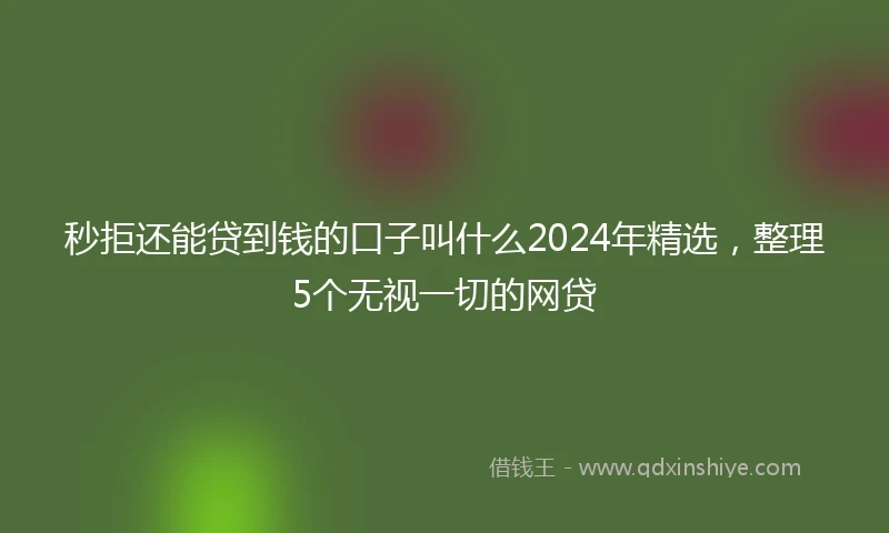 秒拒还能贷到钱的口子叫什么2024年精选，整理5个无视一切的网贷