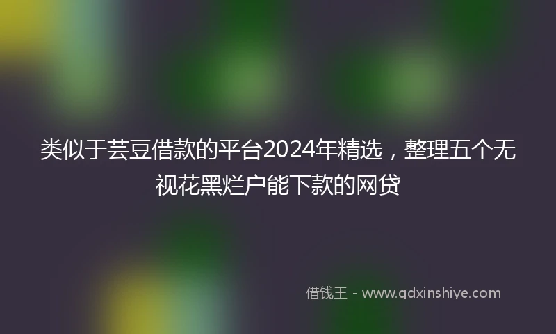 类似于芸豆借款的平台2024年精选，整理五个无视花黑烂户能下款的网贷