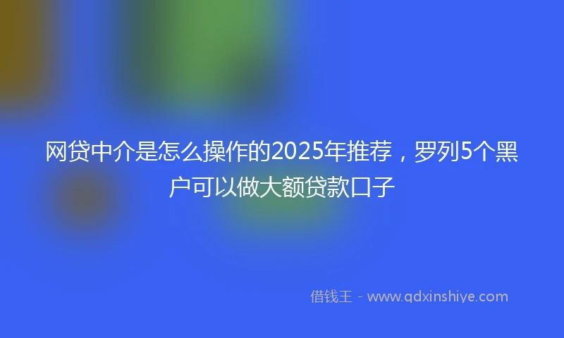 网贷中介是怎么操作的2025年推荐，罗列5个黑户可以做大额贷款口子