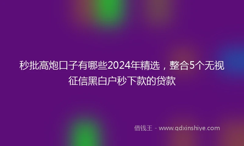 秒批高炮口子有哪些2024年精选，整合5个无视征信黑白户秒下款的贷款