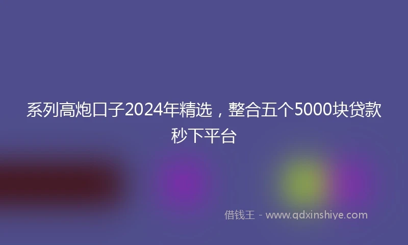 系列高炮口子2024年精选，整合五个5000块贷款秒下平台