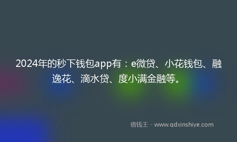 2024年的秒下钱包app有：e微贷、小花钱包、融逸花、滴水贷、度小满金融等。