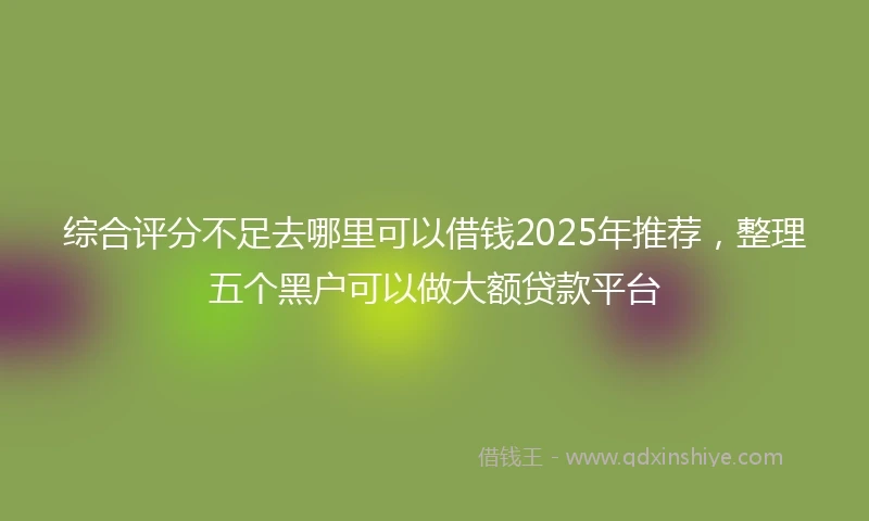 综合评分不足去哪里可以借钱2025年推荐，整理五个黑户可以做大额贷款平台