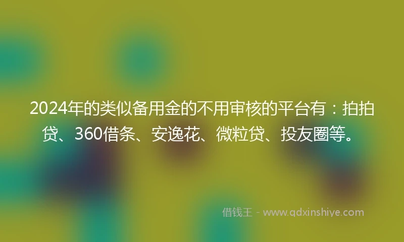 2024年的类似备用金的不用审核的平台有：拍拍贷、360借条、安逸花、微粒贷、投友圈等。
