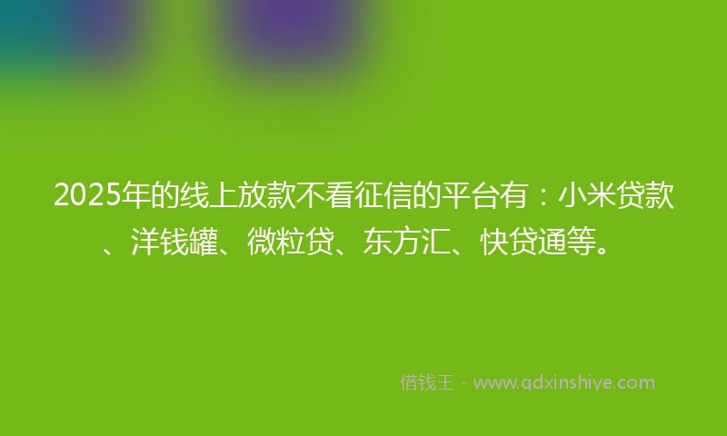 2025年的线上放款不看征信的平台有：小米贷款、洋钱罐、微粒贷、东方汇、快贷通等。