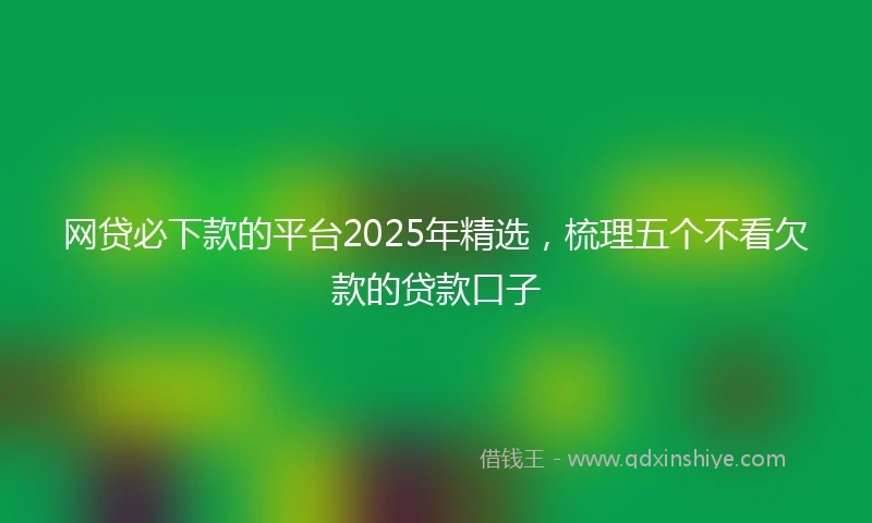 网贷必下款的平台2025年精选，梳理五个不看欠款的贷款口子