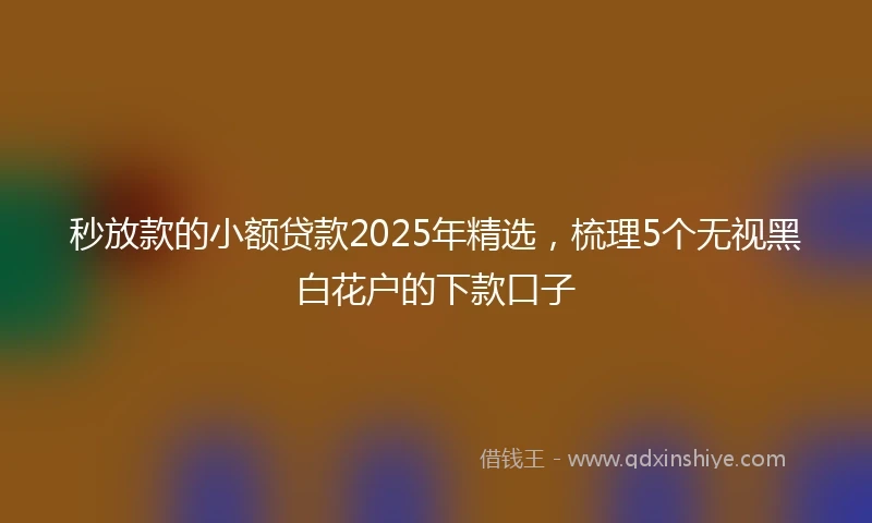 秒放款的小额贷款2025年精选，梳理5个无视黑白花户的下款口子