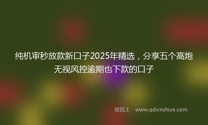 纯机审秒放款新口子2025年精选，分享五个高炮无视风控逾期也下款的口子