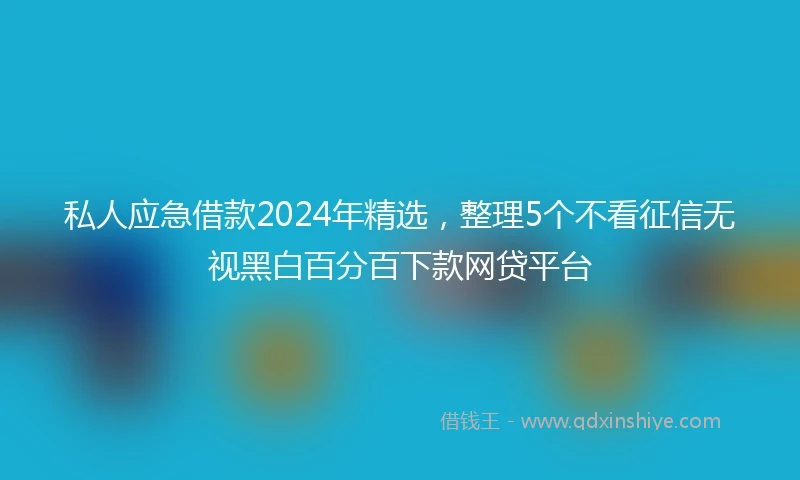 私人应急借款2024年精选，整理5个不看征信无视黑白百分百下款网贷平台
