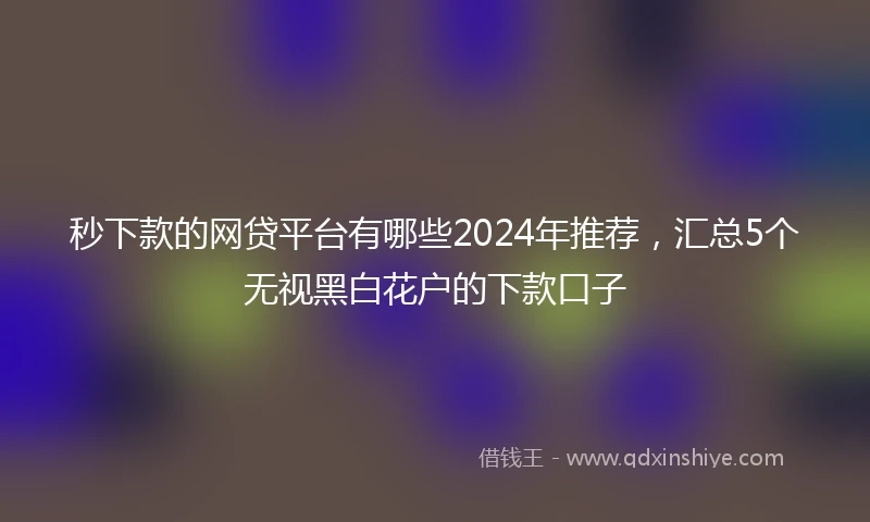 秒下款的网贷平台有哪些2024年推荐，汇总5个无视黑白花户的下款口子
