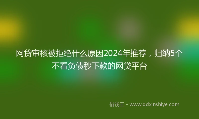 网贷审核被拒绝什么原因2024年推荐，归纳5个不看负债秒下款的网贷平台