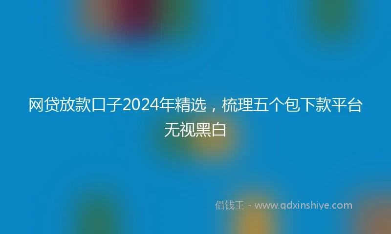 网贷放款口子2024年精选，梳理五个包下款平台无视黑白