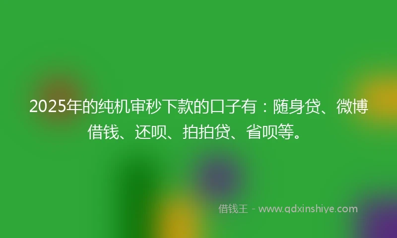 2025年的纯机审秒下款的口子有：随身贷、微博借钱、还呗、拍拍贷、省呗等。