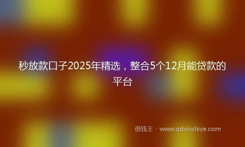 秒放款口子2025年精选，整合5个12月能贷款的平台