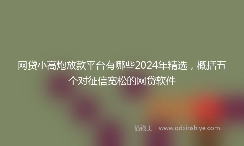 网贷小高炮放款平台有哪些2024年精选，概括五个对征信宽松的网贷软件