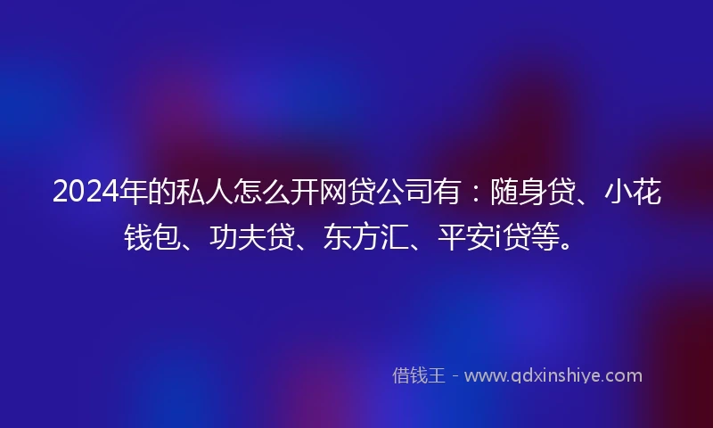 2024年的私人怎么开网贷公司有：随身贷、小花钱包、功夫贷、东方汇、平安i贷等。