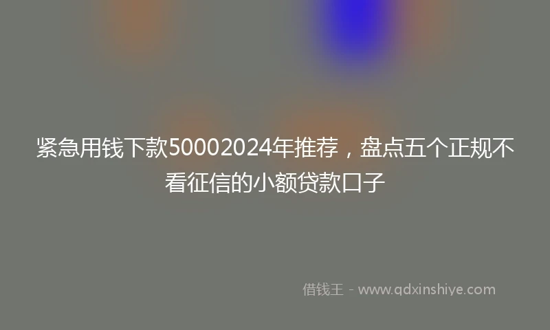 紧急用钱下款50002024年推荐，盘点五个正规不看征信的小额贷款口子
