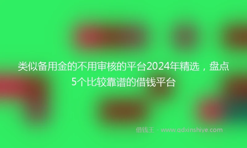 类似备用金的不用审核的平台2024年精选，盘点5个比较靠谱的借钱平台