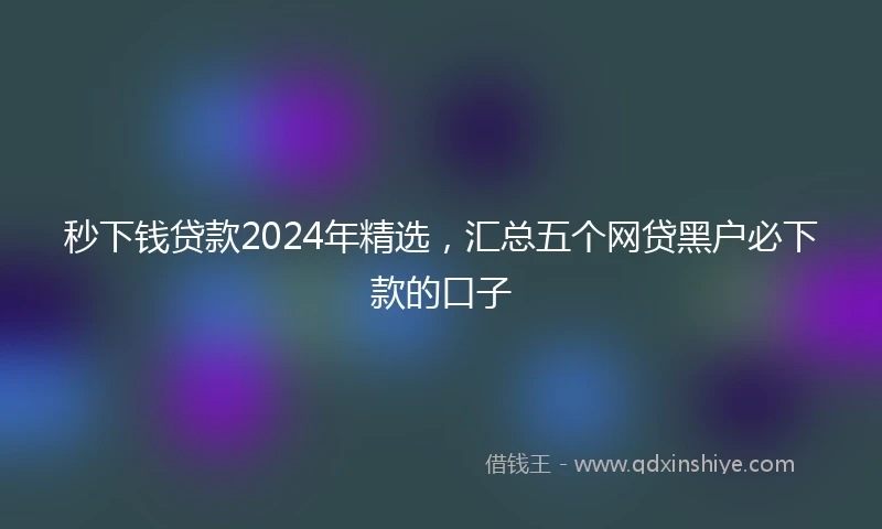 秒下钱贷款2024年精选，汇总五个网贷黑户必下款的口子