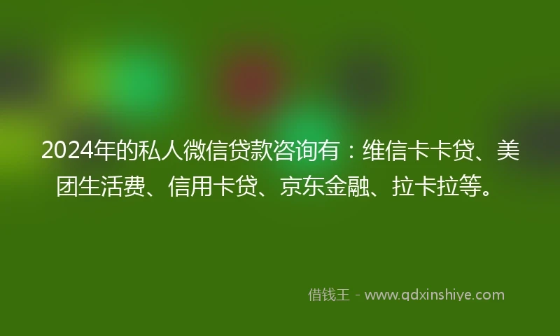 2024年的私人微信贷款咨询有：维信卡卡贷、美团生活费、信用卡贷、京东金融、拉卡拉等。