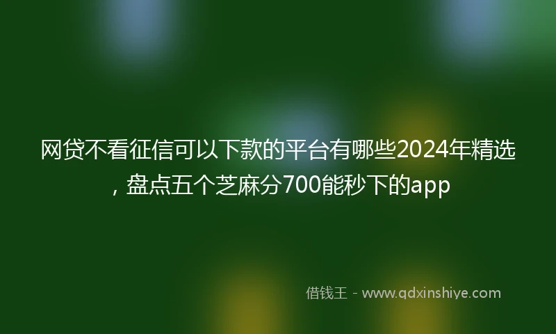 网贷不看征信可以下款的平台有哪些2024年精选，盘点五个芝麻分700能秒下的app