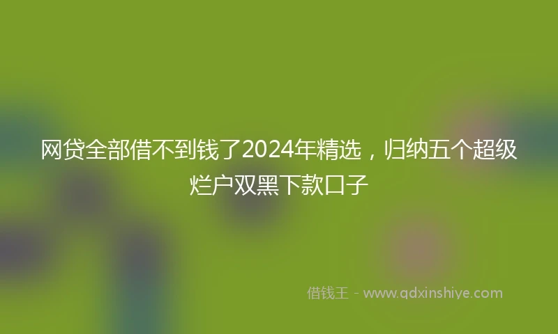 网贷全部借不到钱了2024年精选，归纳五个超级烂户双黑下款口子