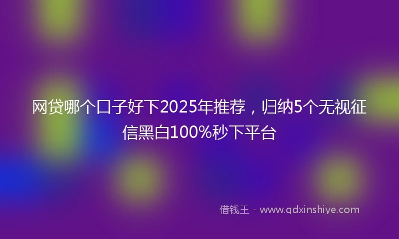 网贷哪个口子好下2025年推荐，归纳5个无视征信黑白100%秒下平台