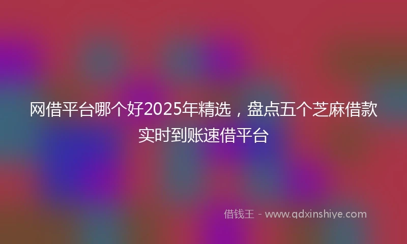 网借平台哪个好2025年精选，盘点五个芝麻借款实时到账速借平台