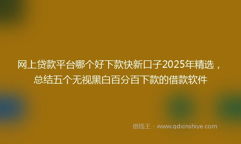 网上贷款平台哪个好下款快新口子2025年精选，总结五个无视黑白百分百下款的借款软件