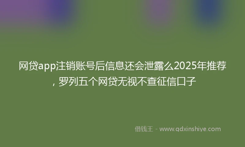 网贷app注销账号后信息还会泄露么2025年推荐，罗列五个网贷无视不查征信口子