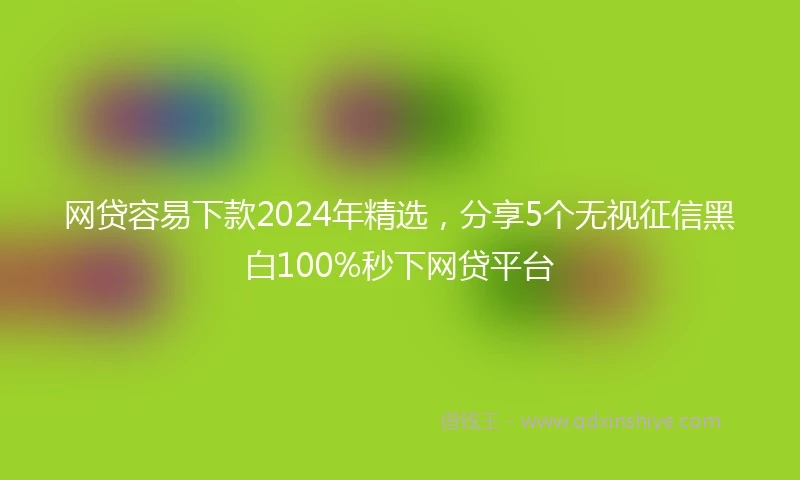 网贷容易下款2024年精选，分享5个无视征信黑白100%秒下网贷平台