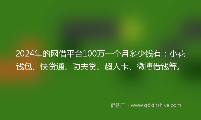 2024年的网借平台100万一个月多少钱有：小花钱包、快贷通、功夫贷、超人卡、微博借钱等。