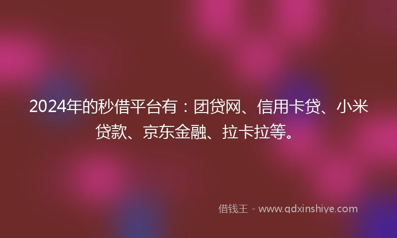 2024年的秒借平台有：团贷网、信用卡贷、小米贷款、京东金融、拉卡拉等。