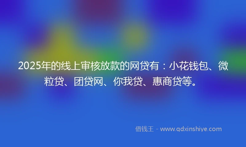 2025年的线上审核放款的网贷有：小花钱包、微粒贷、团贷网、你我贷、惠商贷等。