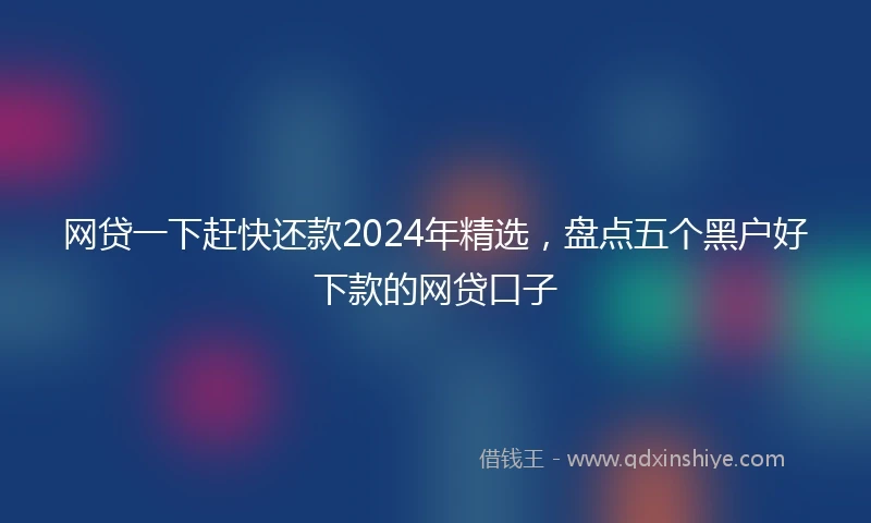 网贷一下赶快还款2024年精选，盘点五个黑户好下款的网贷口子