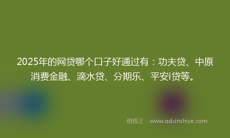 2025年的网贷哪个口子好通过有：功夫贷、中原消费金融、滴水贷、分期乐、平安i贷等。