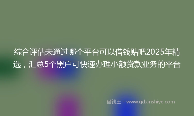 综合评估未通过哪个平台可以借钱贴吧2025年精选，汇总5个黑户可快速办理小额贷款业务的平台