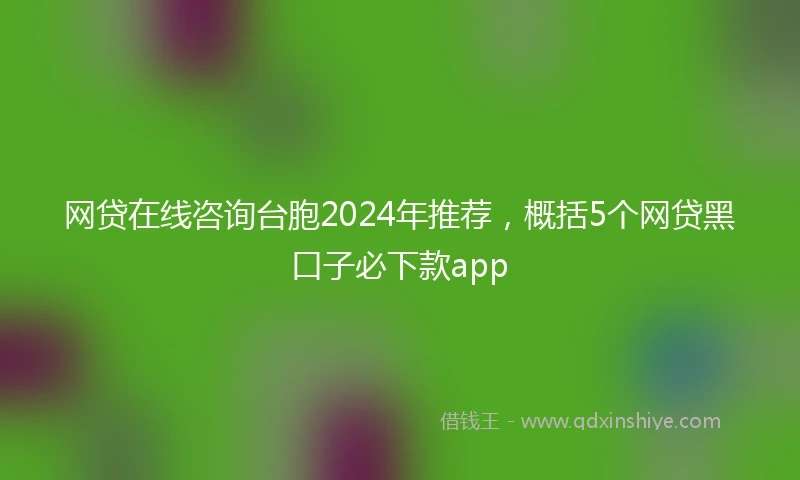 网贷在线咨询台胞2024年推荐，概括5个网贷黑口子必下款app