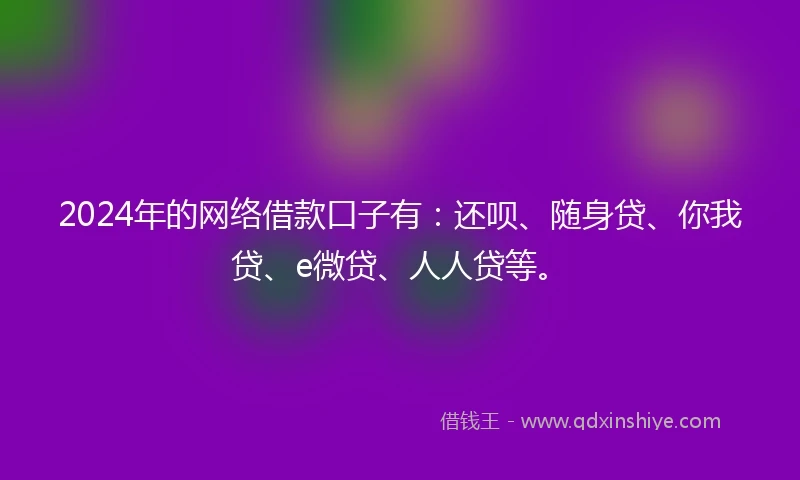 2024年的网络借款口子有：还呗、随身贷、你我贷、e微贷、人人贷等。