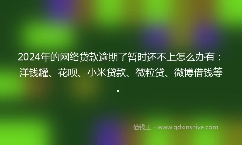 2024年的网络贷款逾期了暂时还不上怎么办有：洋钱罐、花呗、小米贷款、微粒贷、微博借钱等。