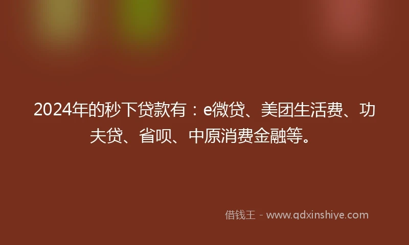 2024年的秒下贷款有：e微贷、美团生活费、功夫贷、省呗、中原消费金融等。