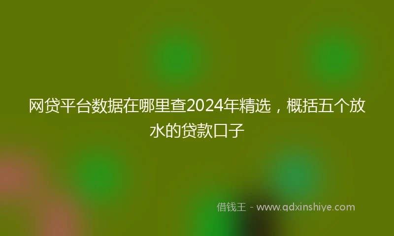 网贷平台数据在哪里查2024年精选，概括五个放水的贷款口子