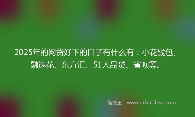 2025年的网贷好下的口子有什么有：小花钱包、融逸花、东方汇、51人品贷、省呗等。