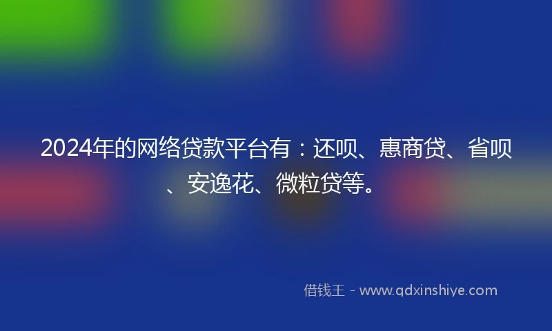 2024年的网络贷款平台有：还呗、惠商贷、省呗、安逸花、微粒贷等。
