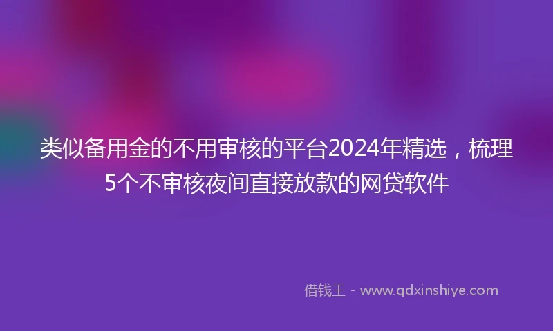类似备用金的不用审核的平台2024年精选，梳理5个不审核夜间直接放款的网贷软件